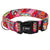 Wide Nylon Pet Dog Collar