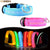 LED Pet Glow Dog Collar