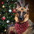 Christmas Dog Bandana Plaid Collar