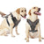 Genuine Leather Dog Harness